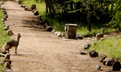 Migration Camp, Northern Serengeti