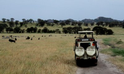 Migration Camp, Northern Serengeti