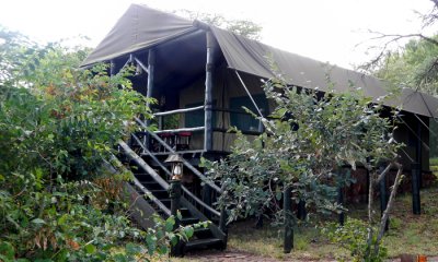 Kira Wira Serena Camp and Area