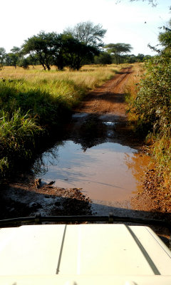 Kira Wira Serena Camp and Area