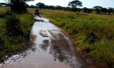 Kira Wira Serena Camp and Area