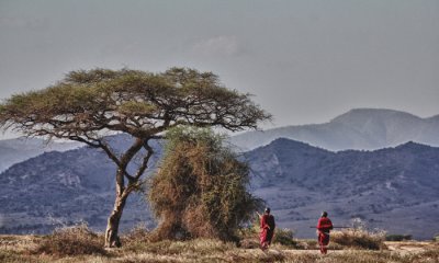 Ngrongoro Maasai Village