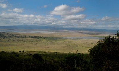 Ngorongoro Crater