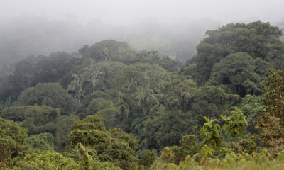 Ngorongoro  Conservation Area