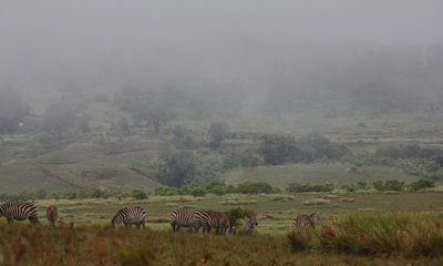 Ngorongoro Conservation Area  
