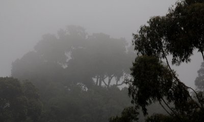 Ngorongoro Conservation Area  