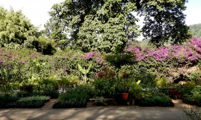 Arusha Garden Sales