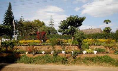 Arusha Garden Sales