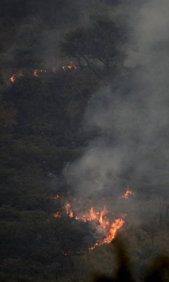 Bush fires, Serengeti