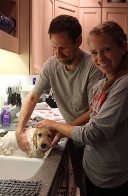 Gracie getting a bath in the kitchen sink