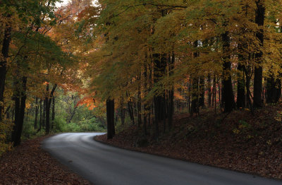 Fall colors in Pere Marquette State Park