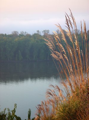 Early morning view of the Illinois River from Tara Point