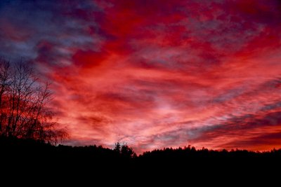 Santa Rosa Sunset.jpg