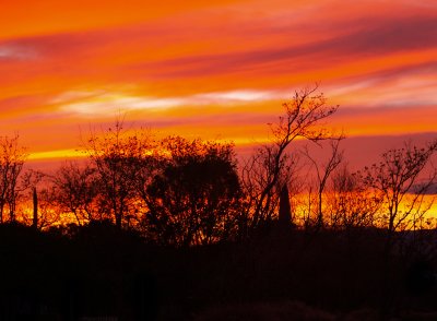 Tombstone sunset.jpg