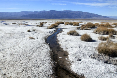 Salt Flats Creek
