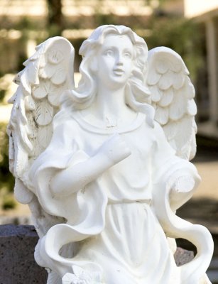 angel head Sonoma.jpg