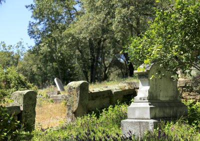 cemetery graves unkempt.jpg