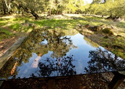 Paradise Ridge Winery Sculpture Garden