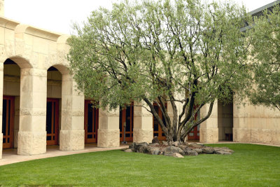 Opus One cloister and olive tree.jpg