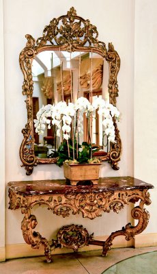 Orchids front of mirror.jpg