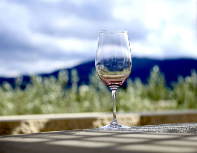 Wine glass reflecting mountains.jpg
