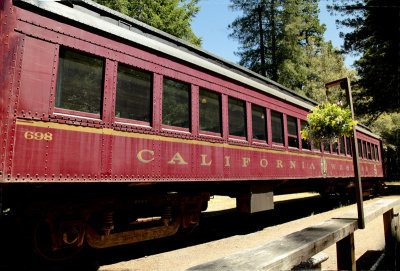 passenger car hanging basket.jpg