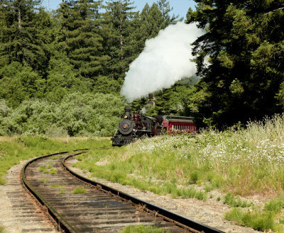 steam engine coming out of trees.jpg
