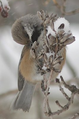 g4/01/1040501/3/143143099.1IYdr1A7.jpg