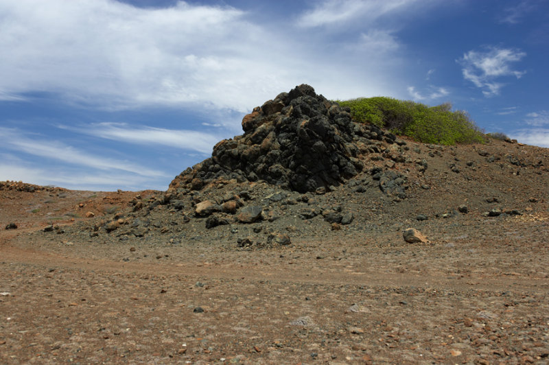 _G2F8095.jpg