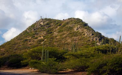 IMG_0195.jpg