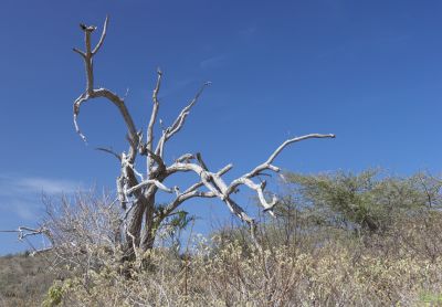 _G2F7144.jpg