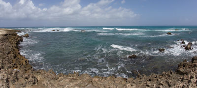 _G2F7840.jpg