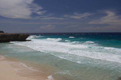 _G2F8088.jpg