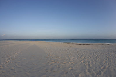 _G2F8523.jpg