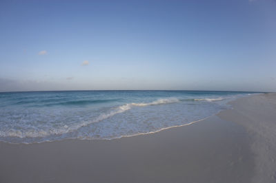 _G2F8544.jpg