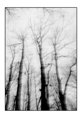 bwbeamanpark2011
