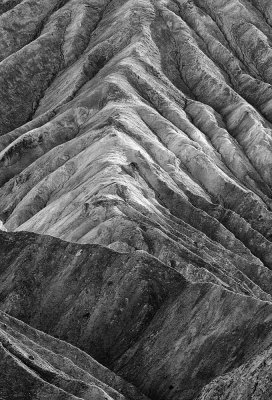 _DSC8110bw.jpg