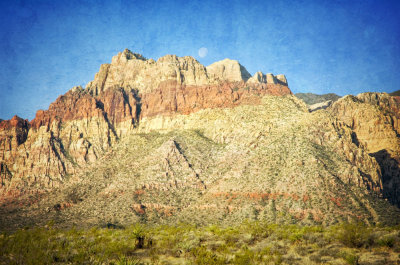 _DSC8726txt.jpg