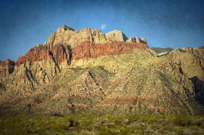 _DSC8726txt_02.jpg