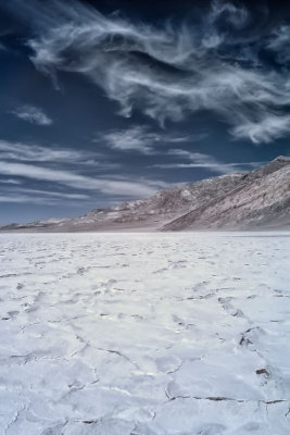 DSC_0330_02.jpg