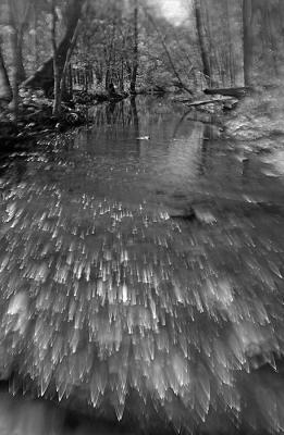 DSC_1519.jpg