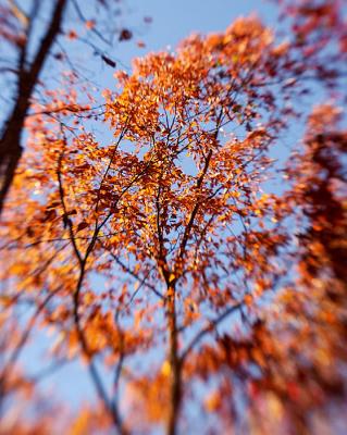 DSC_1541.jpg