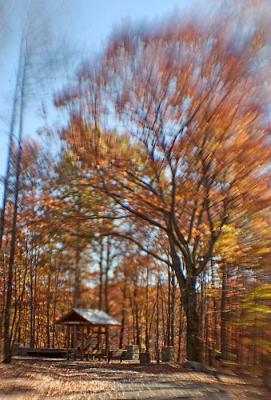 DSC_1543.jpg