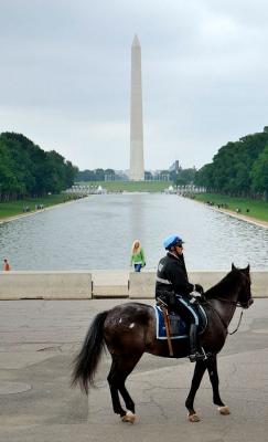 Mall View from Lincoln Memorial