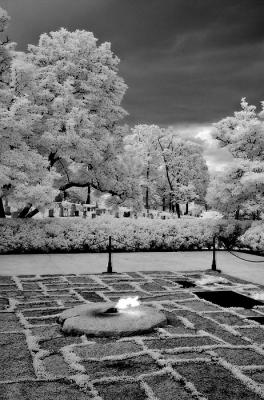 Arlington Cemetery