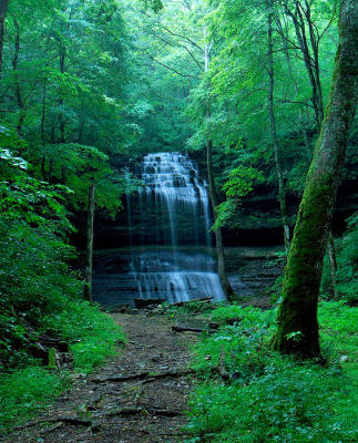 _DSC4358.jpg