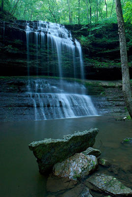 _DSC4367.jpg