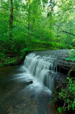 _DSC4402.jpg