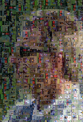 _DSC4065-Mosaic_small_crop.jpg