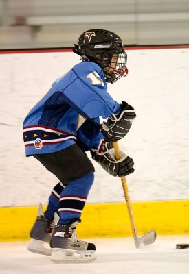 _D3C1253.jpg